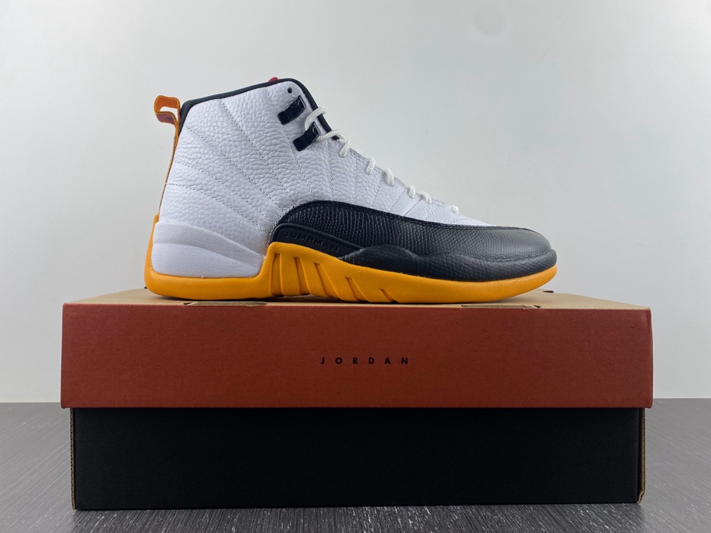 Air Jordan 12 Retro AJ12  DR8887-100